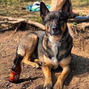 Meet your Posher, Benjamin